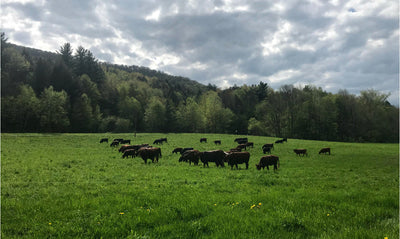 True costs of pasture raised meats since the Pandemic