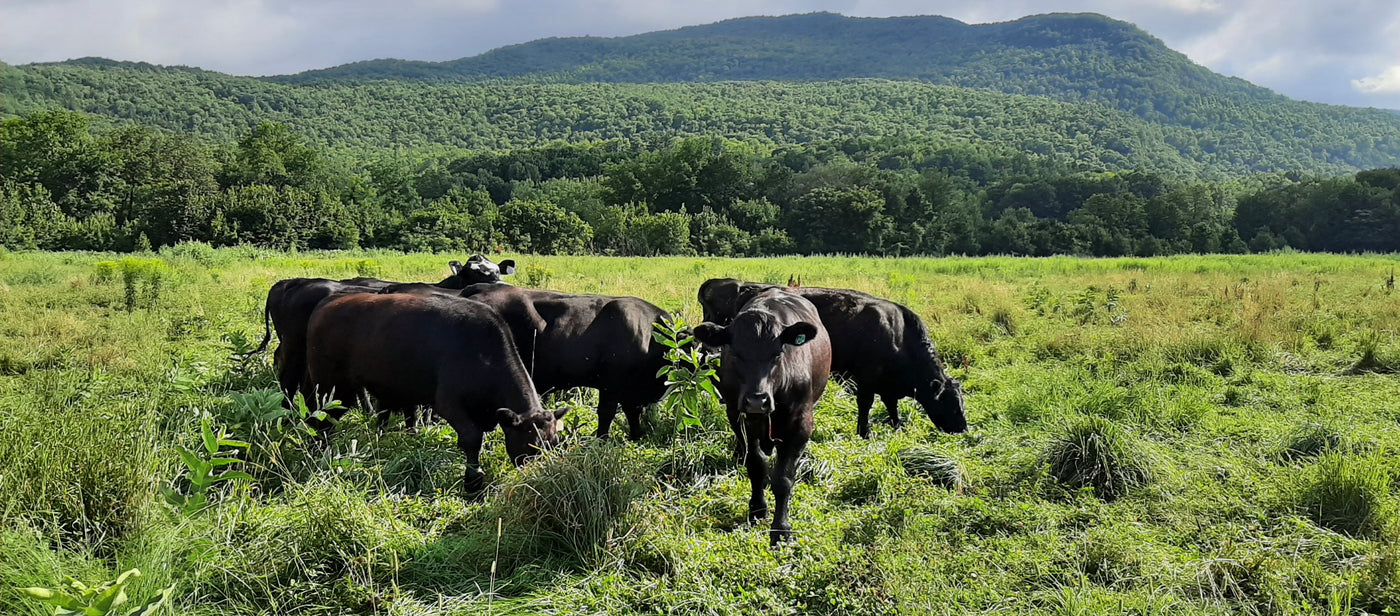 Understanding labels: grass-fed vs pasture-raised. – Maple Wind Farm