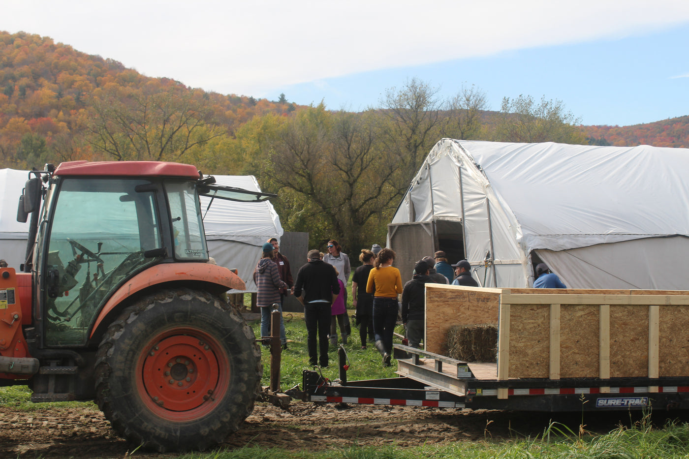 Pasture walk sharing Regenerative Farming in action