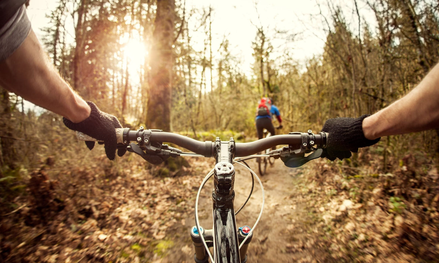 New Trails and Fried Chicken: Mountain Biking Meets Regenerative Farming at Maple Wind Farm