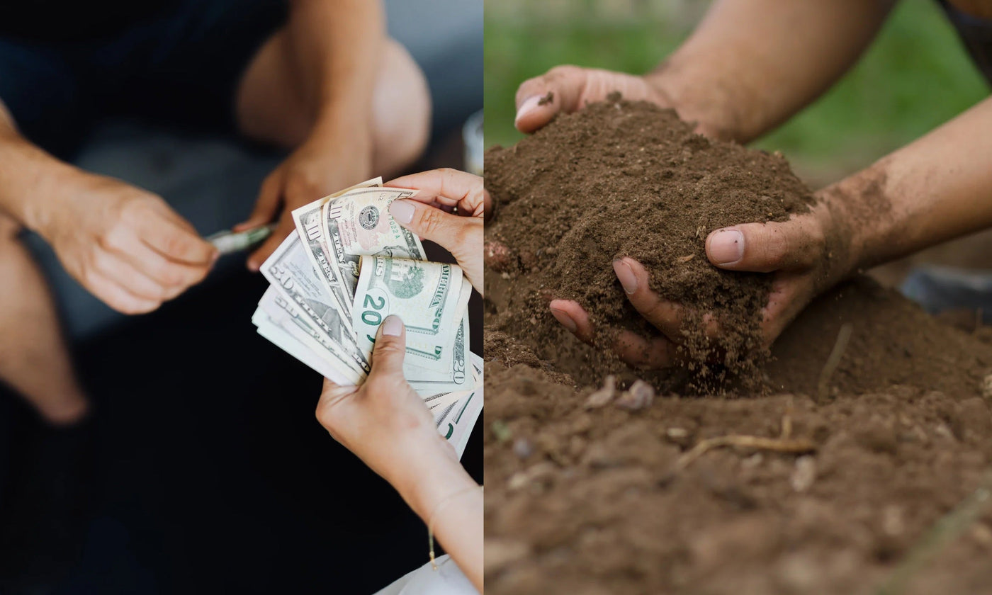 What Does Profit Really Mean?
