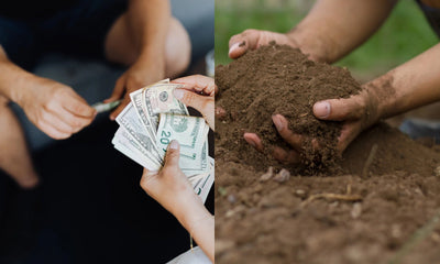 What Does Profit Really Mean?