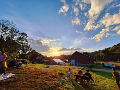News from the Pack – Pasture Pet Summer Edition