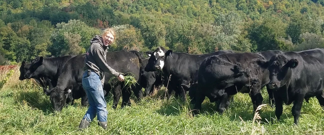Understanding the Difference: Organic vs. Regenerative Farming