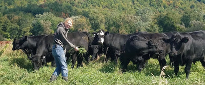 Understanding the Difference: Organic vs. Regenerative Farming