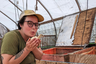 Spring on the Farm: Chicks, Crew & CSA Shares