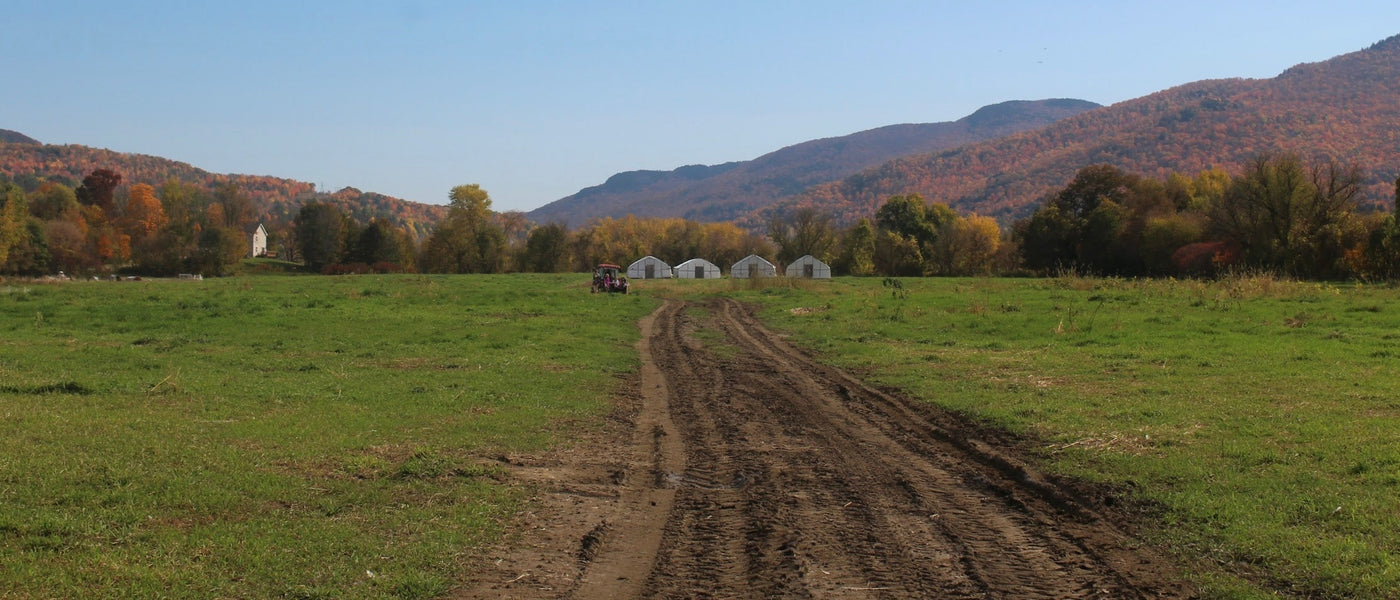 What Do Those Chicken Labels Really Mean?