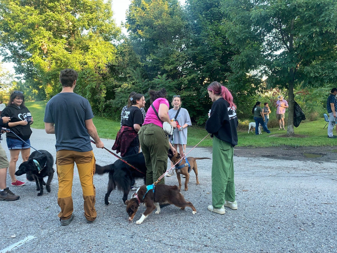 What factors should you consider when choosing a treat for your dog?