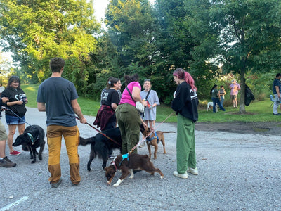 What factors should you consider when choosing a treat for your dog?