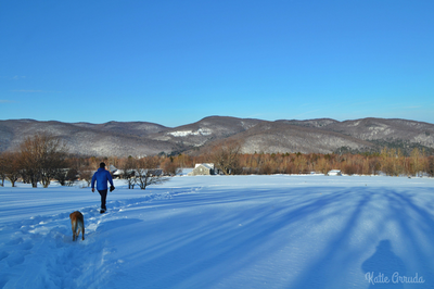 The Wrong Mountain: How selling the home farm makes Maple Wind Farm better!