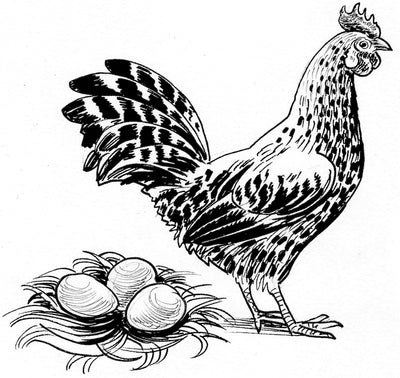 Pastured Eggs