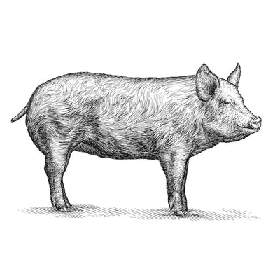 Pastured Pork