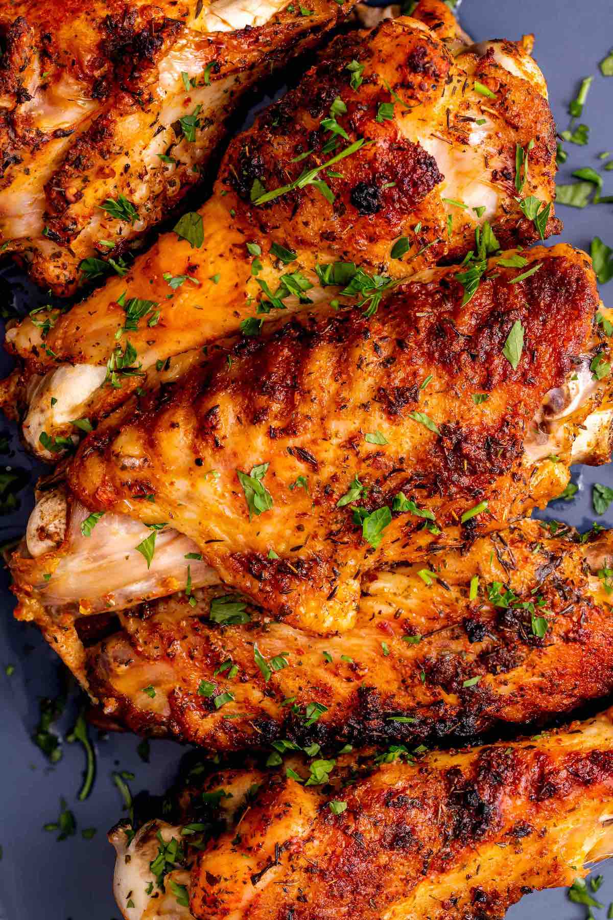 Turkey - Wings